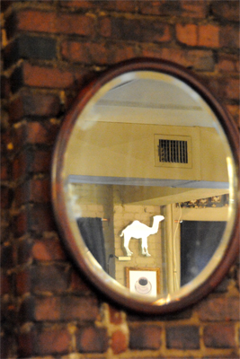 Camel Mirror in an Oval Mirror