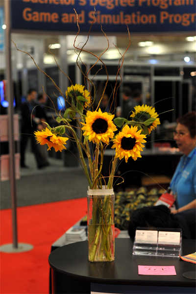 Devry's Sunflowers