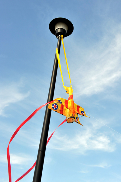 Kite-Eating Lamppost