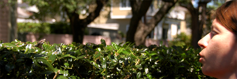 Tete-a-tete; or Susan talks to a lizard