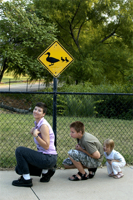 Duck crossing