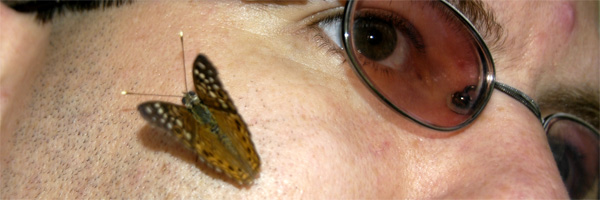 A butterfly on my cheek. No, I don't know *why* it landed there.