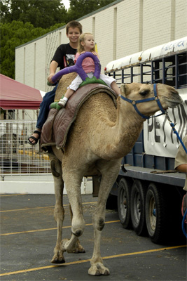 Davis and Serene ride a camel