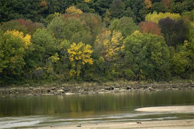 Some actual fall *color*, ladies and gentlemen