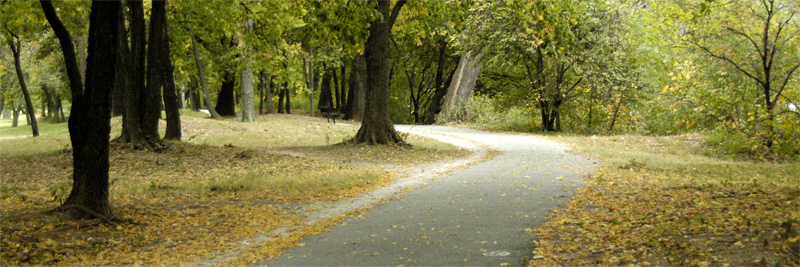 River Trail in the morning