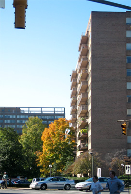 Out and about in Crystal City