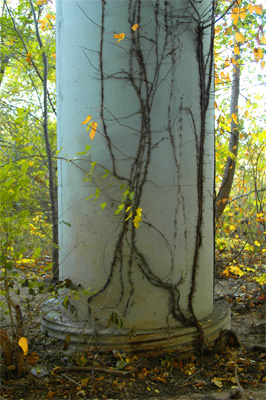 Bottom of a Bridge Pillar