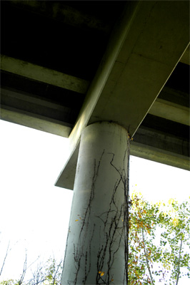 Top of a Bridge Pillar