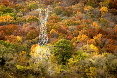 Turkey Mountain