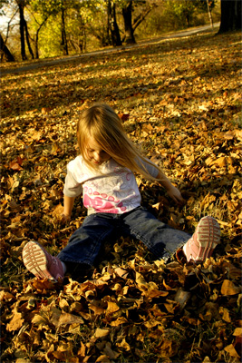 Resting in the leaves