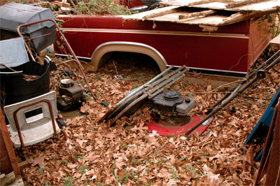 An Oklahoma Backyard