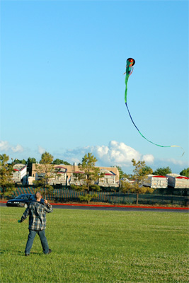 Guy Flying Kite