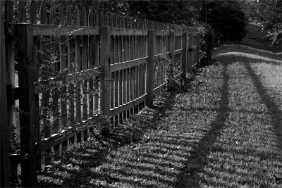 Fence and Shadow