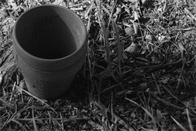 Empty Pots in the Grass