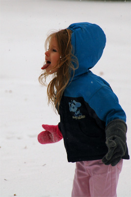 What else you can do with falling snow