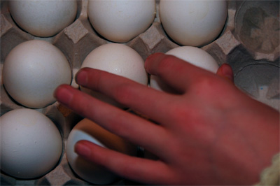 Choosing the Perfect Egg