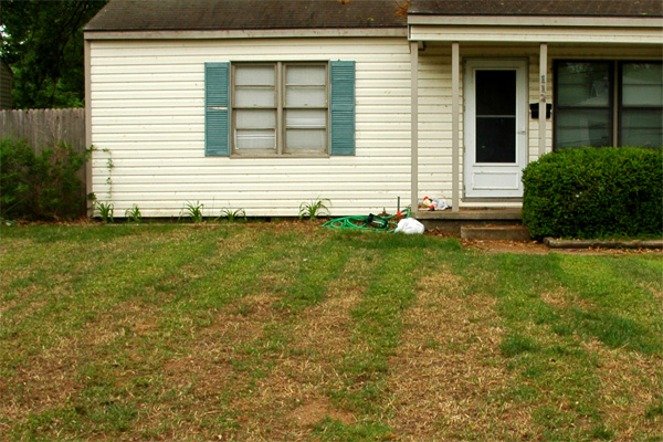 My Striped Front Lawn