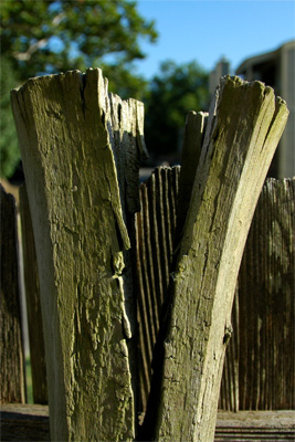 Split Fence Post